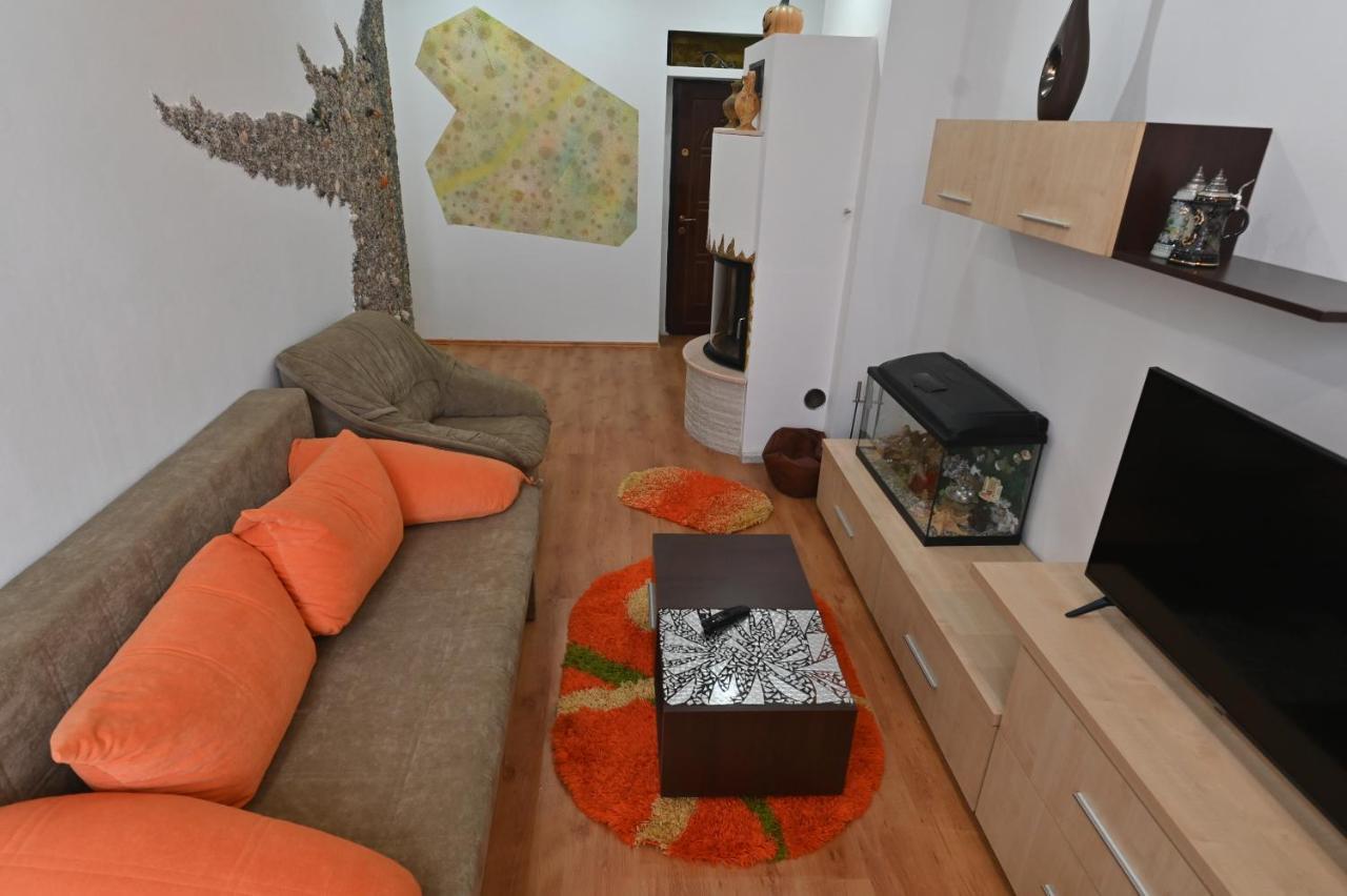 Apartament Camelia Petroşani Екстериор снимка