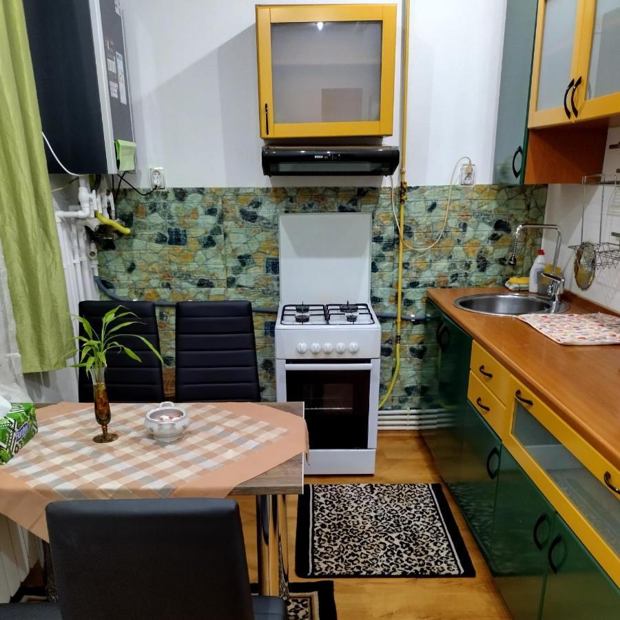 Apartament Camelia Petroşani Екстериор снимка