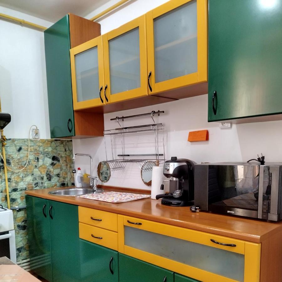 Apartament Camelia Petroşani Екстериор снимка