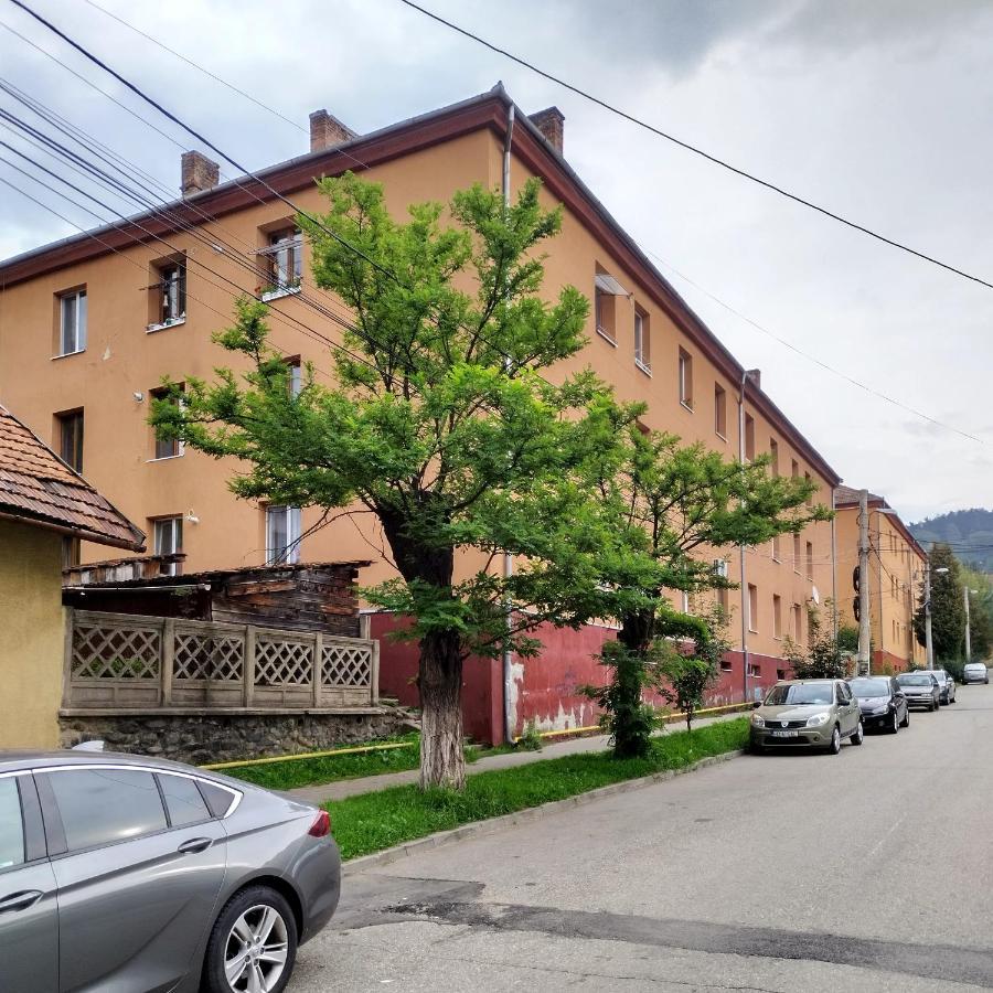 Apartament Camelia Petroşani Екстериор снимка