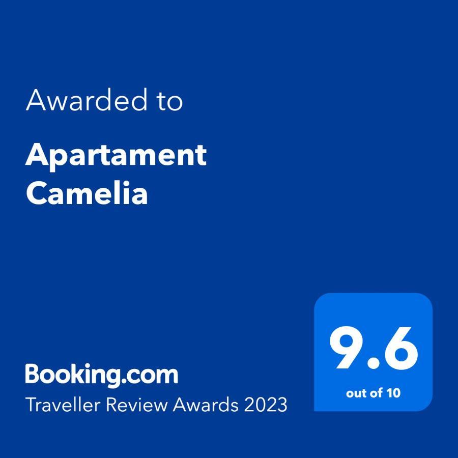 Apartament Camelia Petroşani Екстериор снимка